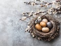 Easter nest with eggs Royalty Free Stock Photo