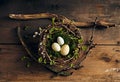 Easter nest with eggs made with tree branches and moss. Natural Easter decoration