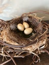 Easter nest with eggs and natural twigs, symbolizing spring and celebration Royalty Free Stock Photo