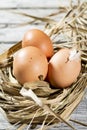 Easter nest, eggs in straw Royalty Free Stock Photo