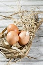 Easter nest, eggs in straw Royalty Free Stock Photo
