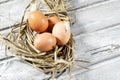 Easter nest, eggs in straw Royalty Free Stock Photo