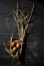 Easter nest, eggs in straw Royalty Free Stock Photo