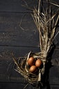 Easter nest, eggs in straw Royalty Free Stock Photo