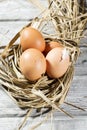 Easter nest, eggs in straw Royalty Free Stock Photo
