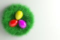 Easter Nest with three colorful Eggs