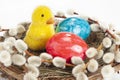 Easter Nest with Willow catkin and Easter Eggs Royalty Free Stock Photo