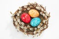 Easter Nest with Willow catkin and Easter Eggs Royalty Free Stock Photo