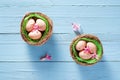 Easter nests with eggs and flowers decoration on blue background Royalty Free Stock Photo