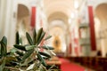 Green easter olive branches inside catholic church during sunday mass, symbol of easter celebration and palms sunday Royalty Free Stock Photo