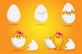 Easter orange yellow vector background. The process of birth, hatching of a cute chicken from an egg. Easter card concept. Vector Royalty Free Stock Photo