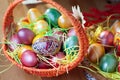 Easter painted eggs in a basket Royalty Free Stock Photo