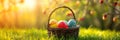 Easter Painted Eggs In Basket On Grass In Sunny Orchard