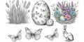 Easter. painted eggs, butterfly, nest, Easter bunny and flowers on a white background