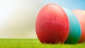 Easter painted eggs on green grass, screensaver for easter greetings Royalty Free Stock Photo