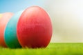 Easter painted eggs on green grass, screensaver for easter greetings Royalty Free Stock Photo