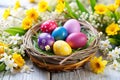 Easter Painted Easter Eggs and Spring Flowers in the Nest Royalty Free Stock Photo
