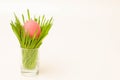 The Easter painted pink egg lies in a bouquet of grass in a glass on a white background