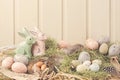 Easter pastel colored decoration