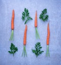 Easter pattern of fresh carrots with green leaves