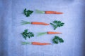 Easter pattern of fresh carrots with green leaves