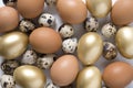 Easter pattern of golden, quail, chicken eggs. View from above. Flat lay