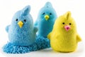 Happy Easter Easter Peeps designs and styles .Easter celebration.