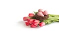 Easter pink eggs in a nest and a bouquet of tulips isolated on white background. Banner. Easter greeting card. Copy space Royalty Free Stock Photo