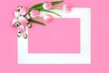 Easter Pink Tulips Flowers and Quail Egg Background Royalty Free Stock Photo