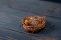 Easter poster and banner. bird nest and egg on a wooden board Royalty Free Stock Photo