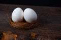 Easter poster and banner. bird nest and eggs on a wooden board Royalty Free Stock Photo