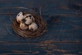 Easter poster and banner. bird nest and eggs on a wooden board Royalty Free Stock Photo