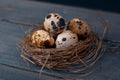 Easter poster and banner. bird nest and eggs on a wooden board Royalty Free Stock Photo