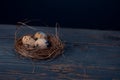 Easter poster and banner. bird nest and eggs on a wooden board Royalty Free Stock Photo