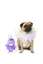 Easter Puggy