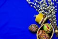 Easter Pussy-willow and Easter egg on blue background. Happy Easter card. with Happy Easter Royalty Free Stock Photo