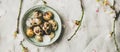 Easter quail eggs and blooming almond tree branches, wide composition