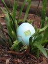 Hidden Easter egg