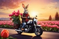 Easter rabbit biker on a motorcycle driving along the tulips road into the sunset Royalty Free Stock Photo