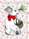 Easter rabbit cartoon illustration