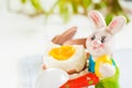 Easter rabbit and egg on white wooden table background