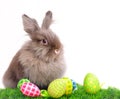 Easter Rabbit with eggs Royalty Free Stock Photo