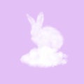 Easter rabbit made from white cloud on a sky blue background.