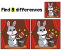 Easter Rabbit Magician Find The Differences