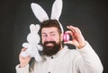 Easter rabbit. Man wearing rabbit suit. Funny bunny man with easter egg and toy. Easter activities concept. Egg hunt