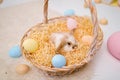 Easter rabbit photo. Bunny in a straw basket. Shallow DOF