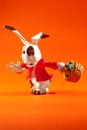 Easter rabbit run Royalty Free Stock Photo