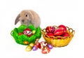 Easter rabbit and two baskets with Easter eggs Royalty Free Stock Photo