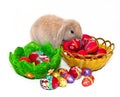 Easter rabbit and two baskets with Easter eggs Royalty Free Stock Photo