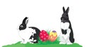 Easter rabbits colorful Easter eggs isolated on white in corner Royalty Free Stock Photo